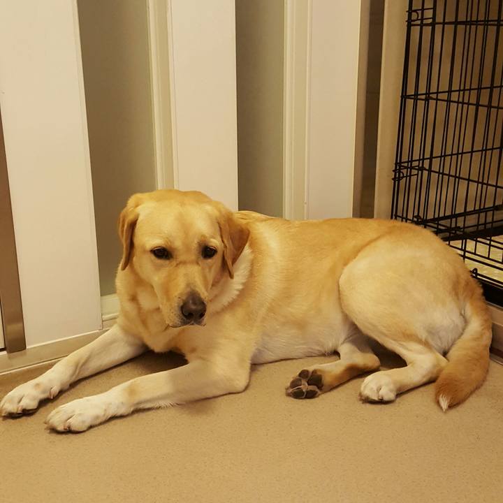 E7d5fd40 29a1 4df0 aff6 84e37e9995e7