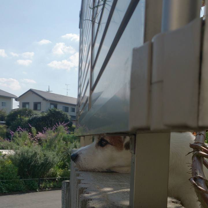 E7d602bc 2910 4381 a630 cf75dbda784a