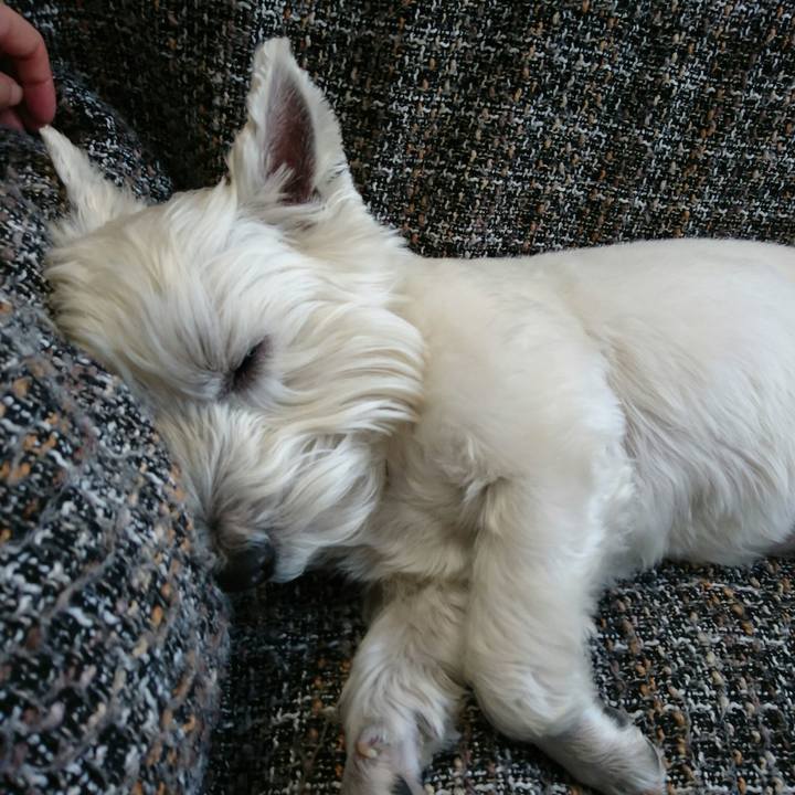 E7d613ce 19f8 486e 88c1 db4697e0d9f1