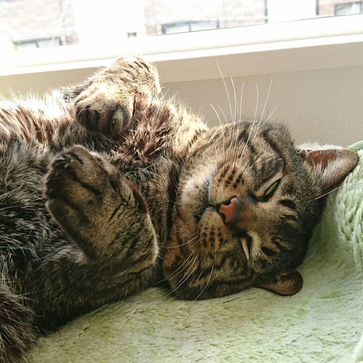 E7d68e19 ba23 4b69 8cb1 54036117a1d6