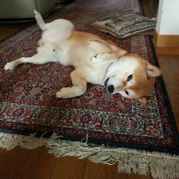 E7d6bd5e 7dfe 44dd 8260 6ac093839a94