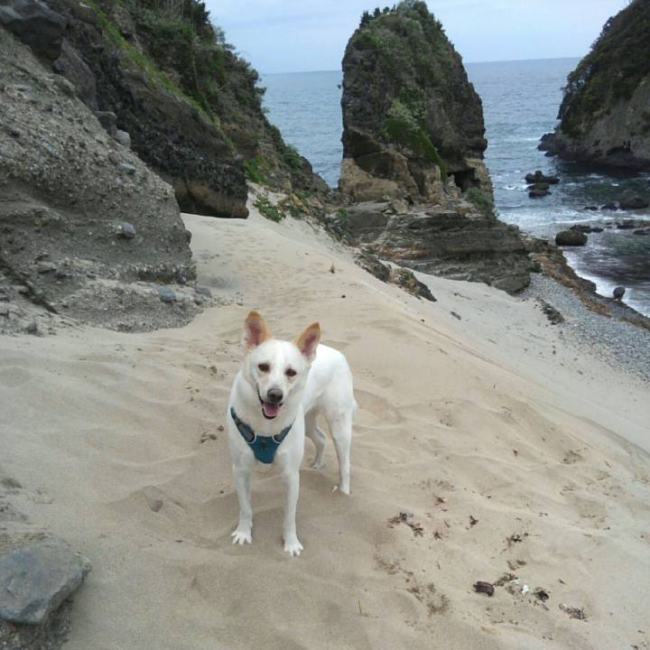 E7d6cce3 93cf 4e89 bc0f bb9cd9532960