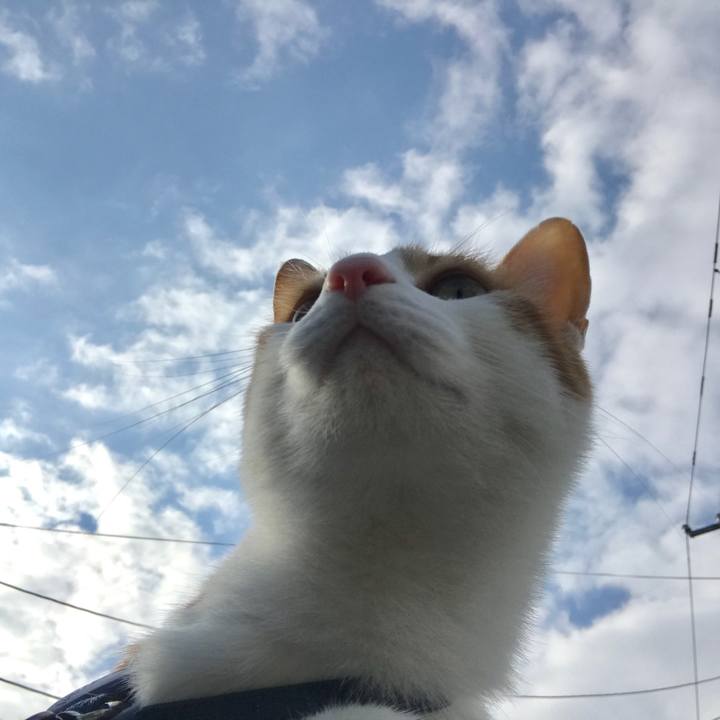 E7d6f0e8 d552 4398 8e1e c3b70c030ec4