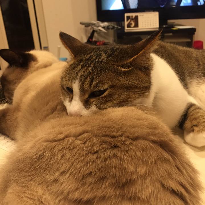 E7d739af 5c63 44ad 9544 f71b7e084d33