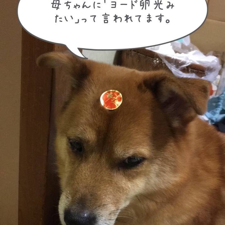 E7d746d5 f1ac 43b4 81c3 d61f8ed9bf09