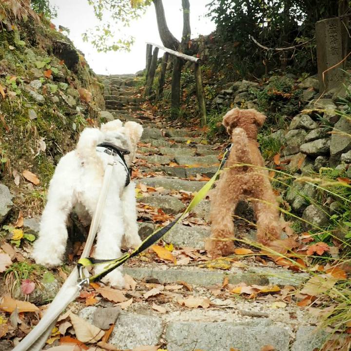 E7d7703d a9cc 4b86 ab4c 867331f08bfd