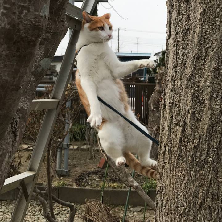 E7d7911d 17e1 45ca 979c 2120f6d8cadb