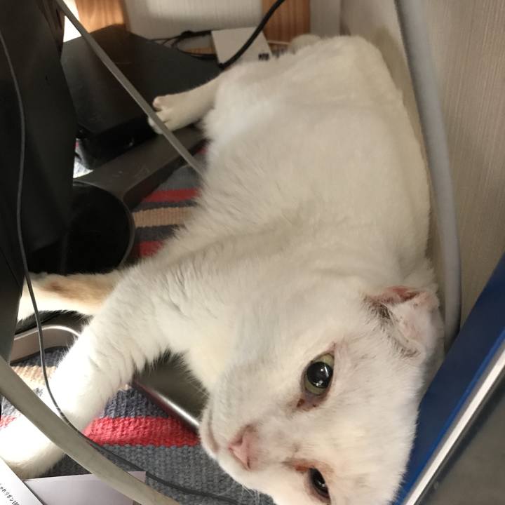 E7d82088 1246 41a3 913d 88e13b894595