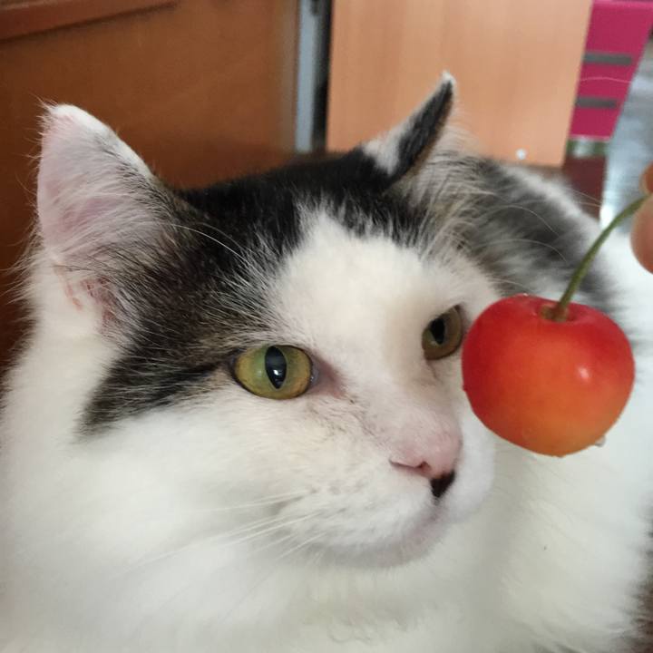 E7d8f17a 6f8e 47e3 8acc fe4176952838