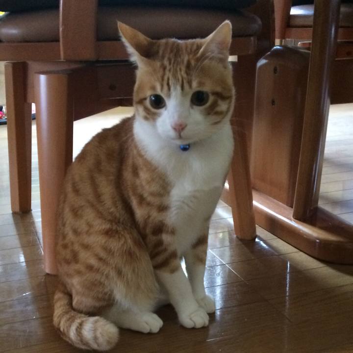 E7d8fa91 3662 4355 a6ef ccf5b6ad5498