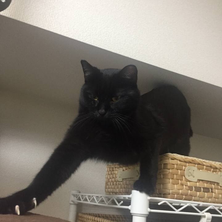 E7d9523e 7b9f 4a63 98e5 58813a48c158