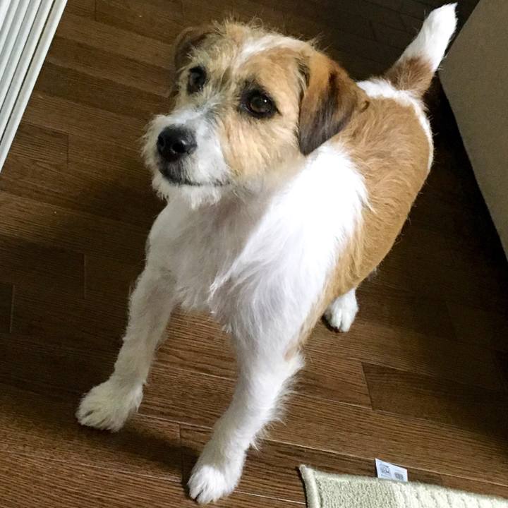 E7d9df77 e863 466b b765 b9197c07039f