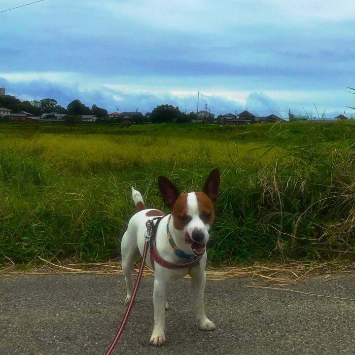 E7da4633 c6ad 496f ae35 f9f2512980ff