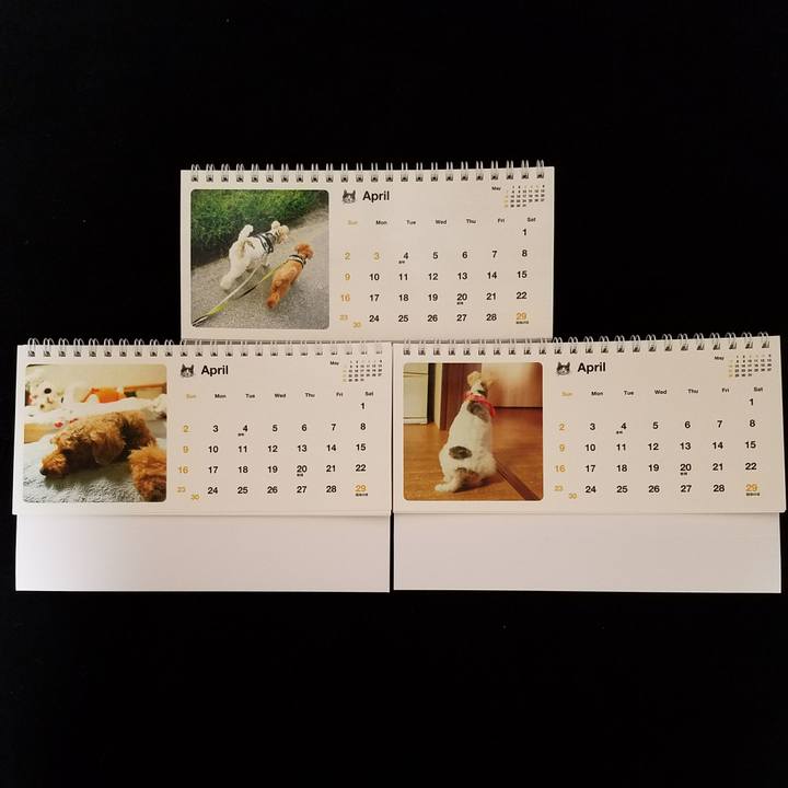 E7da7d04 dc35 4132 9cb9 01ae5230ff1d