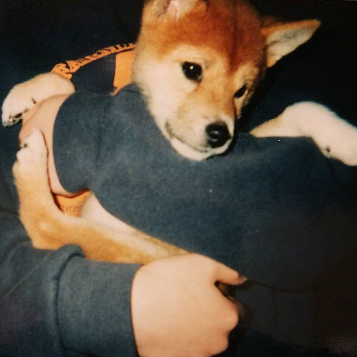 E7daf06d 294a 40df 8de5 62e4271e2cb7