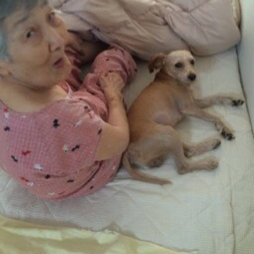 E7daf200 1516 4e54 9a81 378a63c021e5