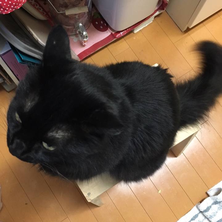 E7daf255 bb32 4468 9804 6b6aea00ef67