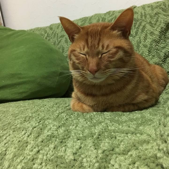 E7db22d2 c229 47f9 b6ab a6f400e749d1