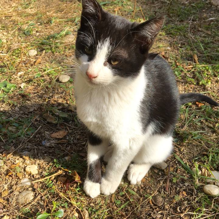 E7dbe4d7 ec09 41a0 9e10 7ec3e2c5a938