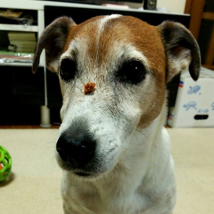 E7dbf08e 849c 41cf a10c 2deacdebc629