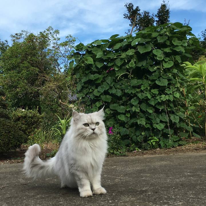 E7dc18d9 6738 478c 9b6b 61f6dbfb5e72