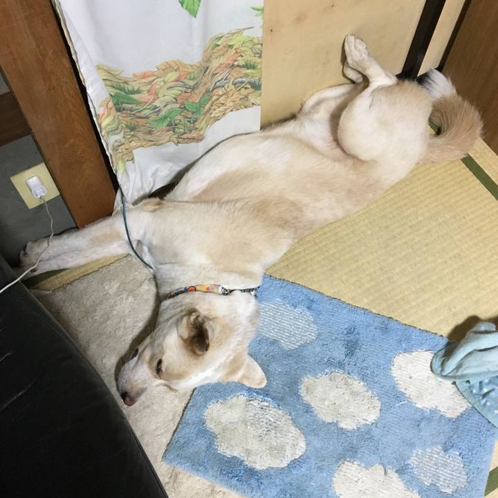 E7ddbb33 17a1 48d7 ac51 b066ae46bab7