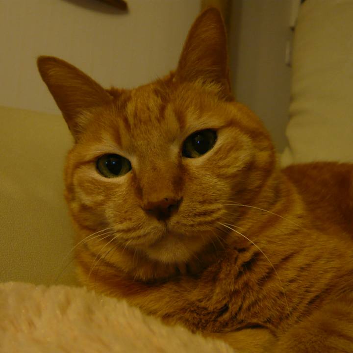 E7de1410 53f0 4609 b24d d4cf651ba25c