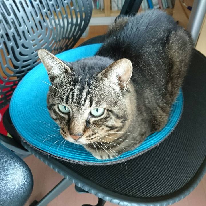 E7dece57 ce2b 4a05 86e5 cbe87ca6c9e8