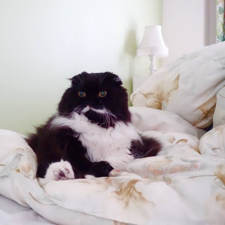 E7deed65 663f 42a5 b62f 8f33e4b60a51