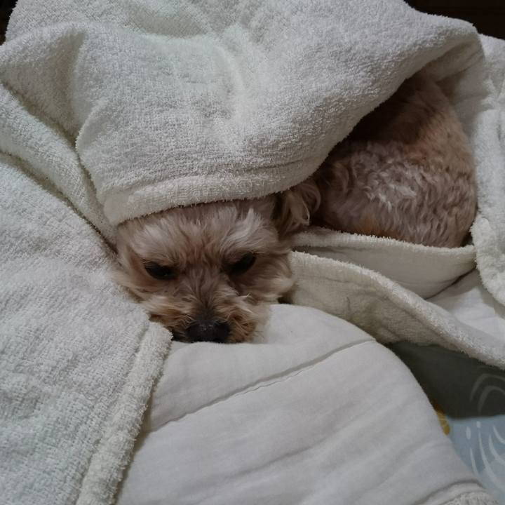 E7df8b1e 157e 4b01 a5fd 1c1014610a91