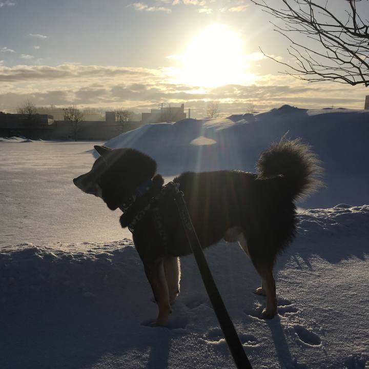 E7df98f4 cf18 4724 bafc 45e1edc9dd4a