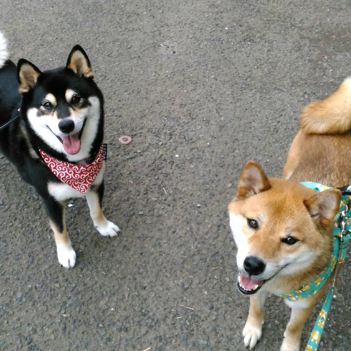 E7dfa755 8cc4 4baa b0f7 d5b6b2eda54a