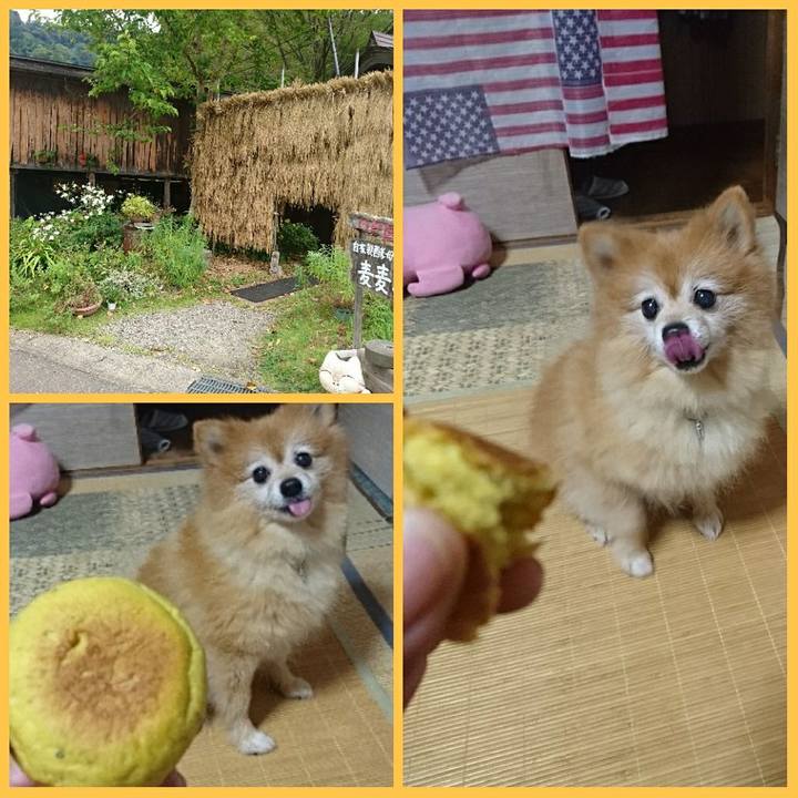 E7e00221 1522 4a6d 9019 32d9ceff318b