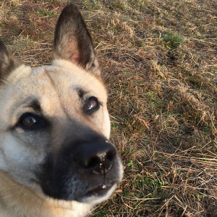 E7e0ab5e 4d4d 4ad9 bd45 3e2045960f3d