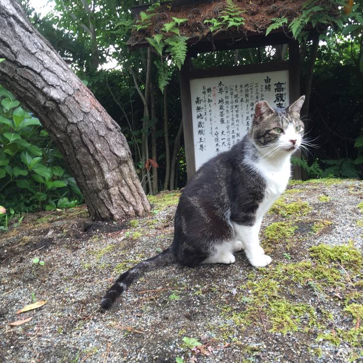 E7e0f4b7 aee4 4a2f ae7f 20be09abadf7