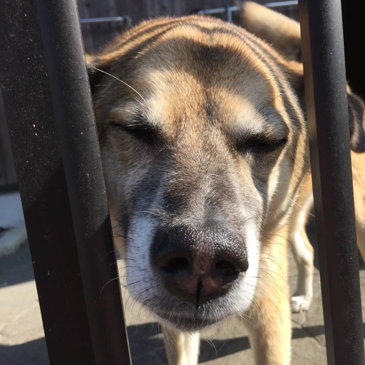 E7e1373e db05 4df2 8883 8753e6c7a794