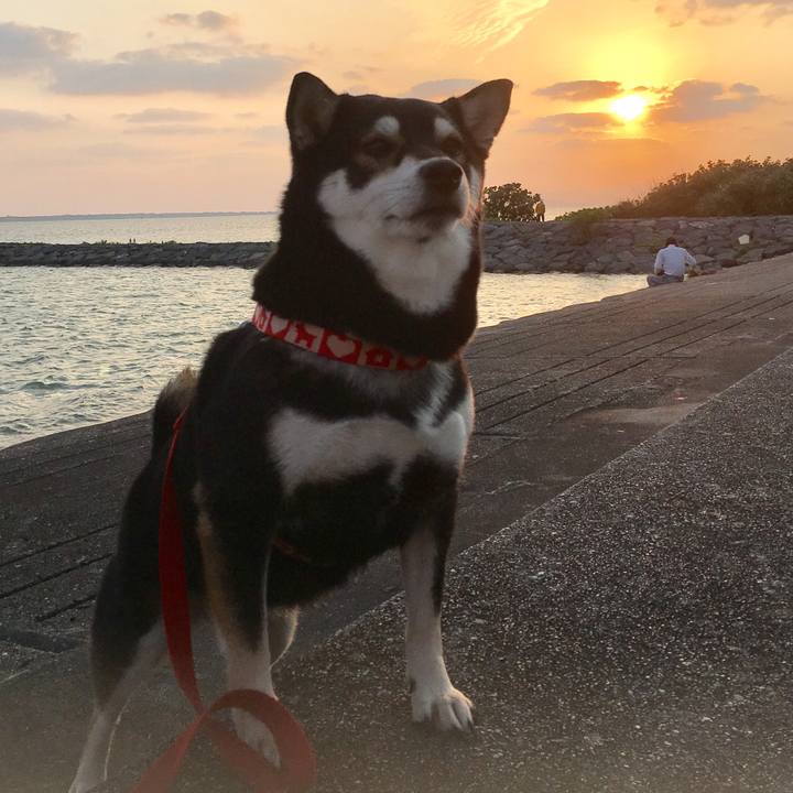 E7e1bc52 f96b 4ed2 90f0 4e83c2c6060e