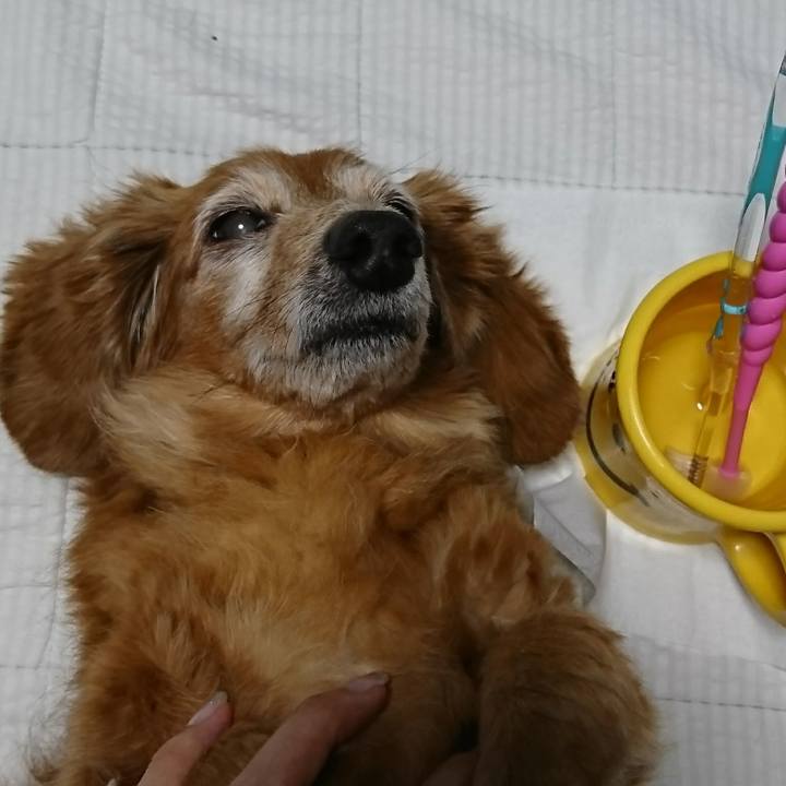 E7e1e026 04e9 4fc7 892e ca0733cb4443