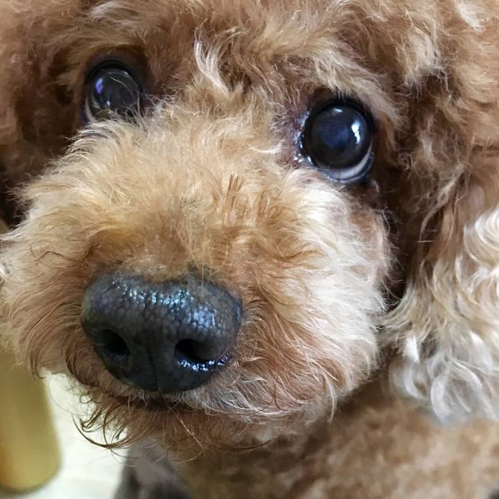 E7e36fa7 f412 4c14 8516 316ada1baad6