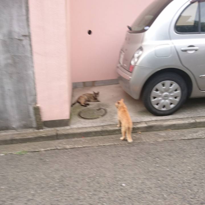 E7e38af8 6399 45d7 a20c 1029c4ce66a0