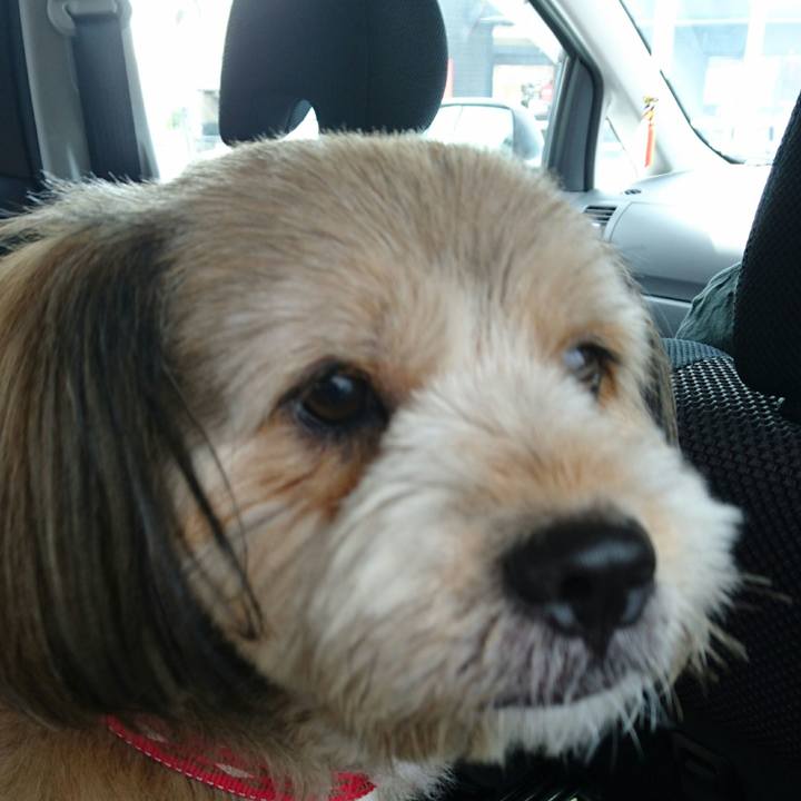 E7e39103 1d9e 4658 815b f32b5f7b6489