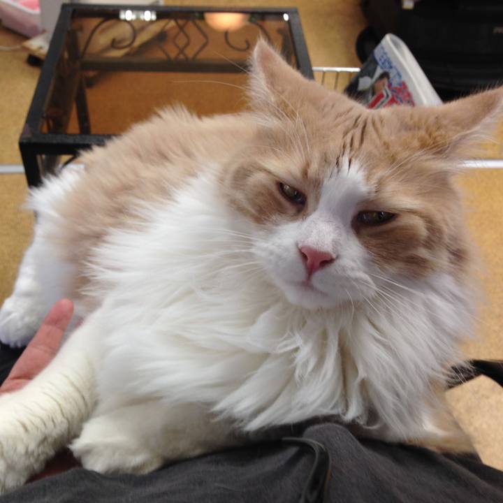 E7e3ef08 a57f 48a4 ab87 507a7ce4aaa8