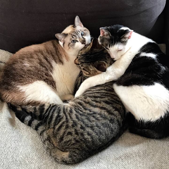 E7e567a8 c00a 49d0 8851 0b2b02691eb8