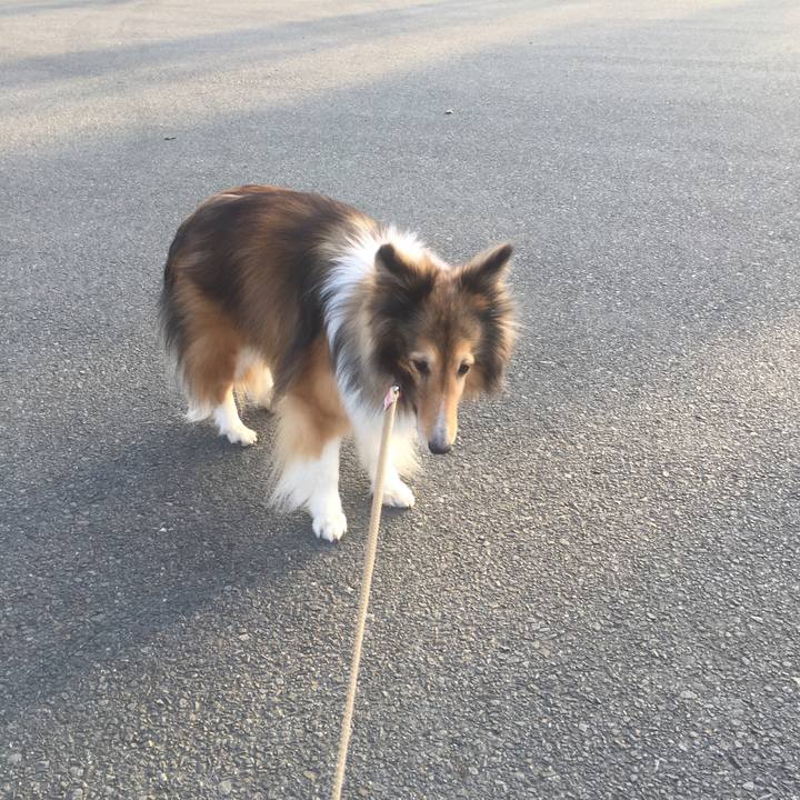 E7e56a70 4604 4e0b 8b4c 6ff8b836dfef