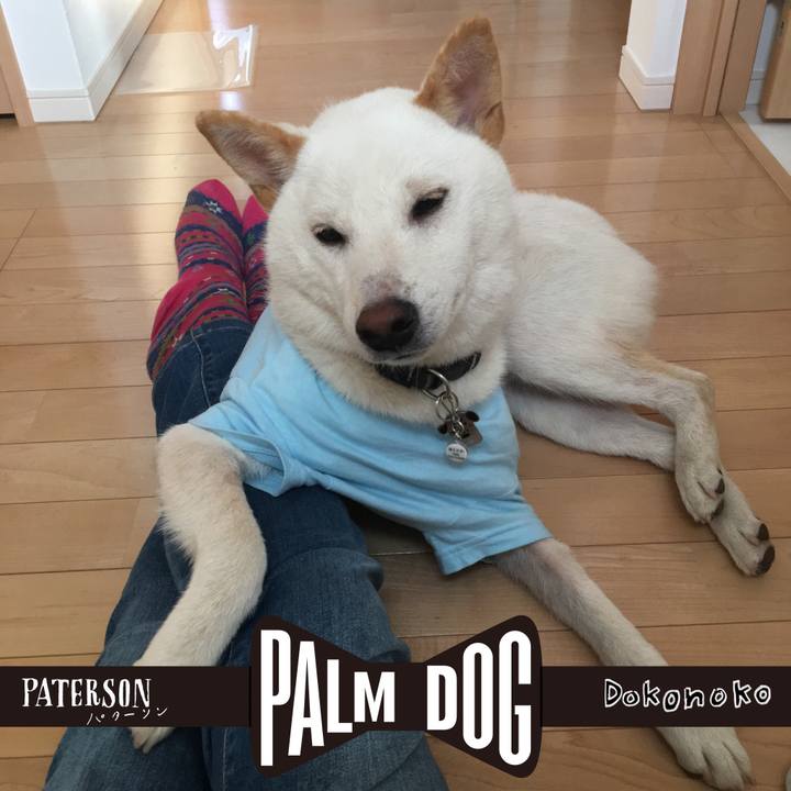 E7e5d63b b562 42dd a38a 74a28dbe24d3