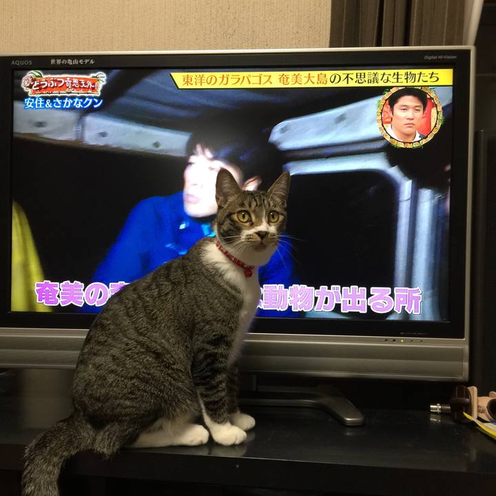 E7e6ad4d 7864 415c 94d5 d57ba460709a