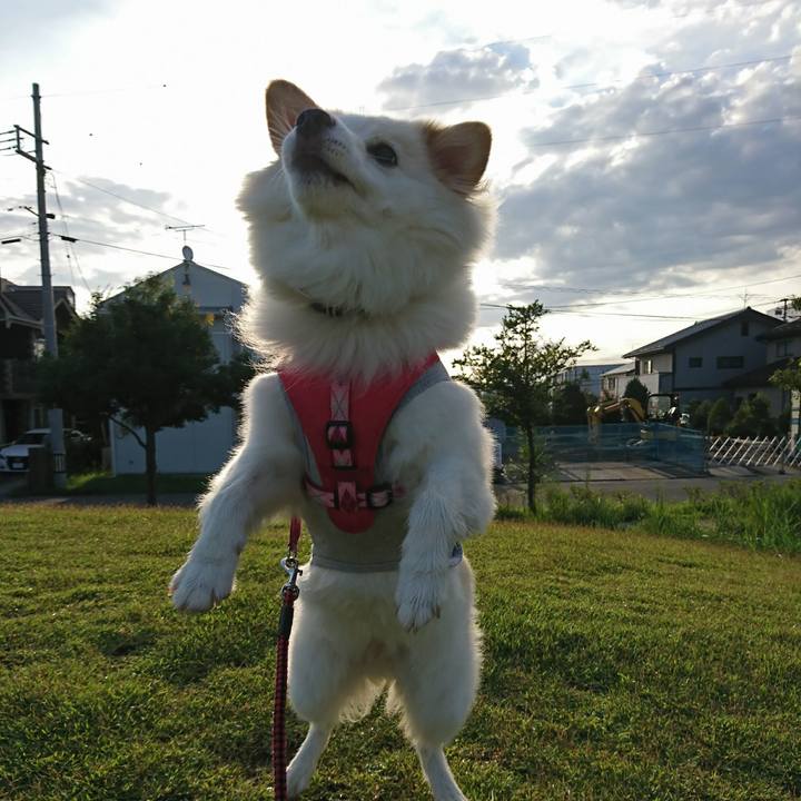 E7e6f35e c3ad 44ce ac0e 52f01e29f2d7