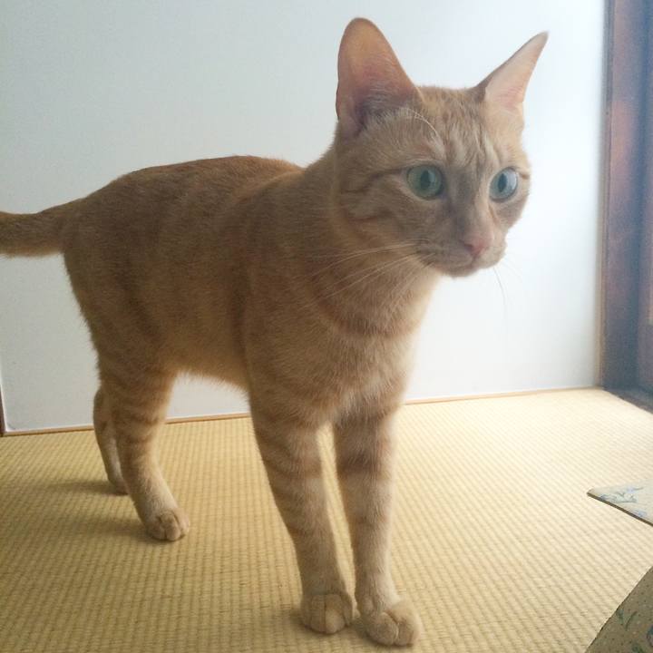 E7e71d41 64b1 46c3 b9bf 0db53653dba0