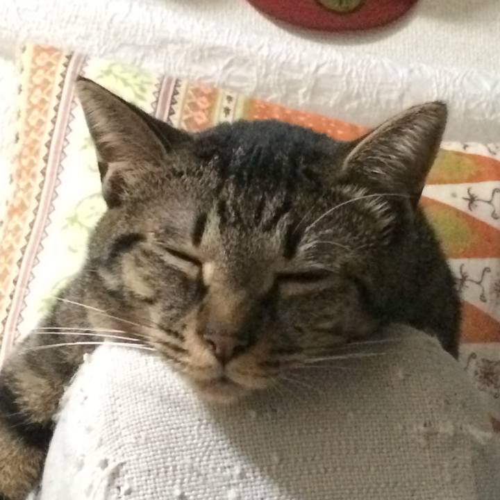 E7e71df0 95b4 4500 9bcc 0d15a0bdc831