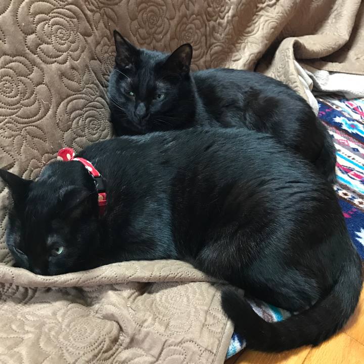 E7e74b3a 1176 4d2b 965b 635c88989c0a